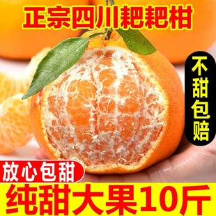 包邮🍬_四川特级春见耙耙柑粑粑柑10斤橘子甜当季_整箱新鲜水果丑柑桔