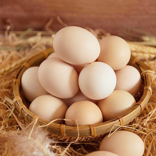 土家享高山散养鸡蛋8枚_务必每个sku加购一次_少拍单拍不发货