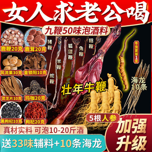 泡酒药材专用滋补养生泡酒料男性十全肾人参老人配方材料大枸杞补